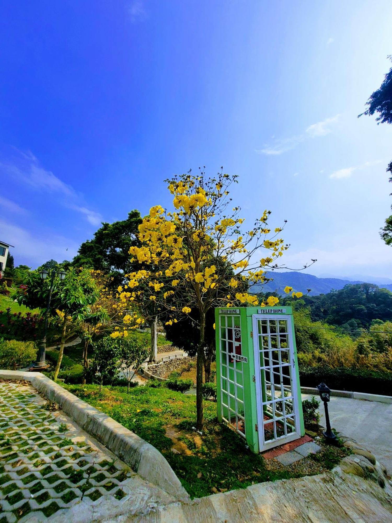 山水奇異san Shuei Kiwi桃園市民宿編號038 Homestay Sanmin Екстериор снимка