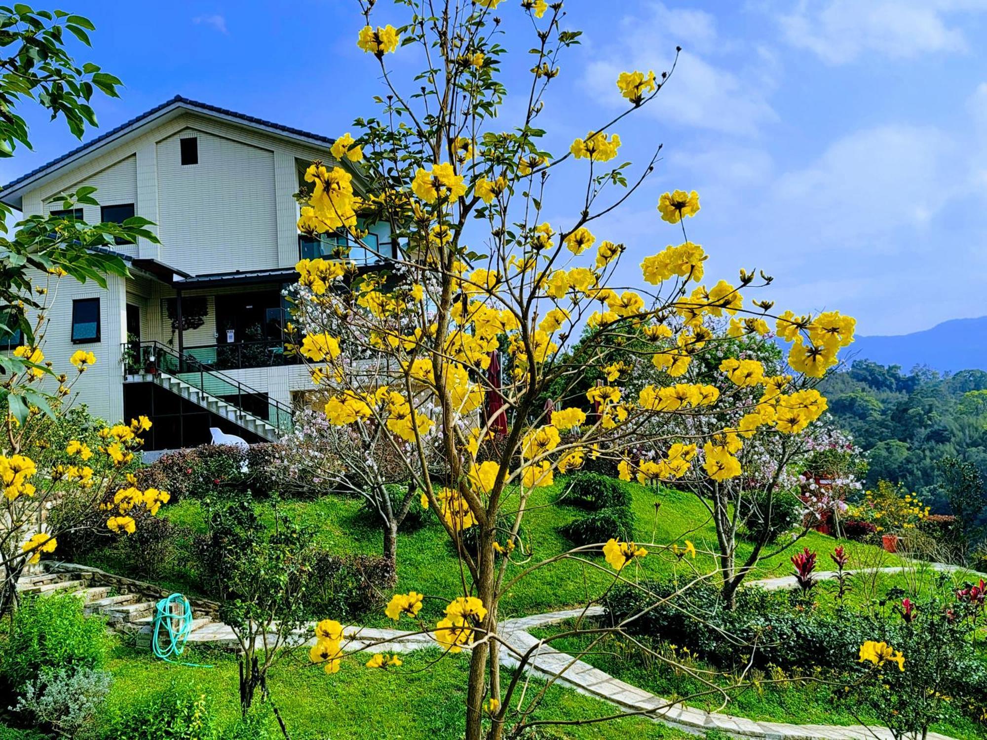 山水奇異san Shuei Kiwi桃園市民宿編號038 Homestay Sanmin Екстериор снимка